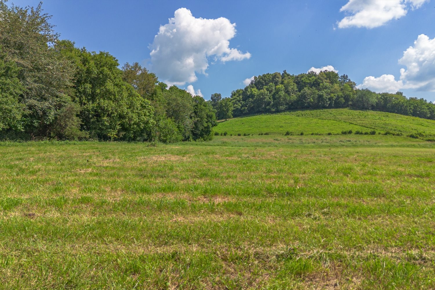 0 Brown Shop Road Petersburg, TN 37144 - Photo 35 of 37 a view of a field with an ocean