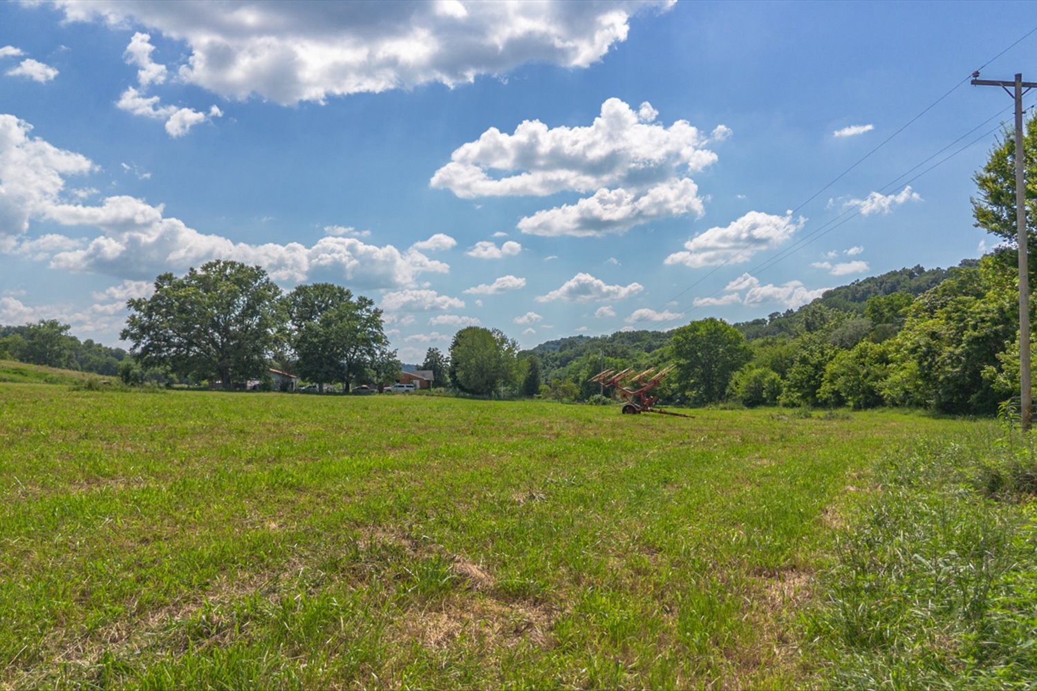 0 Brown Shop Road Petersburg, TN 37144 - Photo 37 of 37 a view of a big yard with large trees and plants