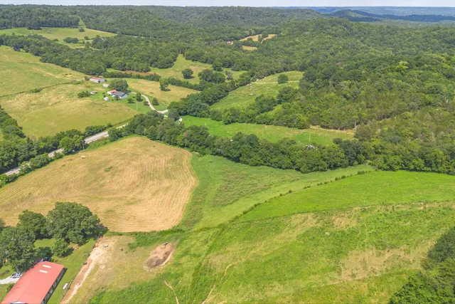 a view of a swimming pool with a yard