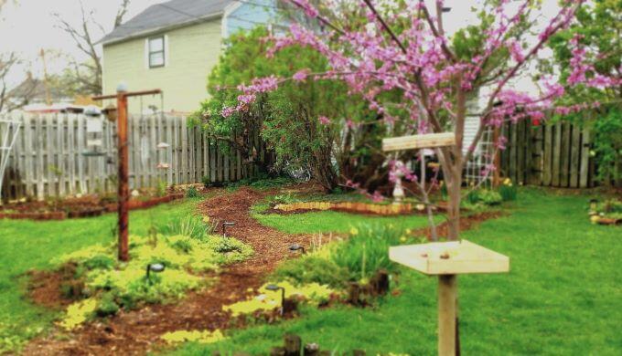 308 Adams Street Fort Atkinson, WI 53538 - Photo 11 of 37 308 adams outside 4