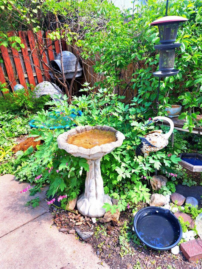 308 Adams Street Fort Atkinson, WI 53538 - Photo 33 of 37 308 adams bird bath