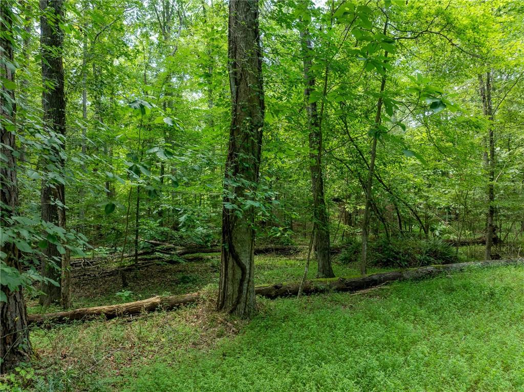 192 Saxon Court Canton, GA 30114 - Photo 40 of 48