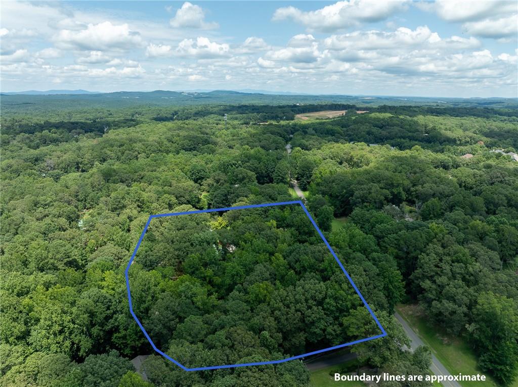 192 Saxon Court Canton, GA 30114 - Photo 4 of 48