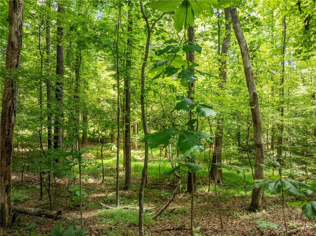 192 Saxon Court Canton, GA 30114 - Photo 44 of 48