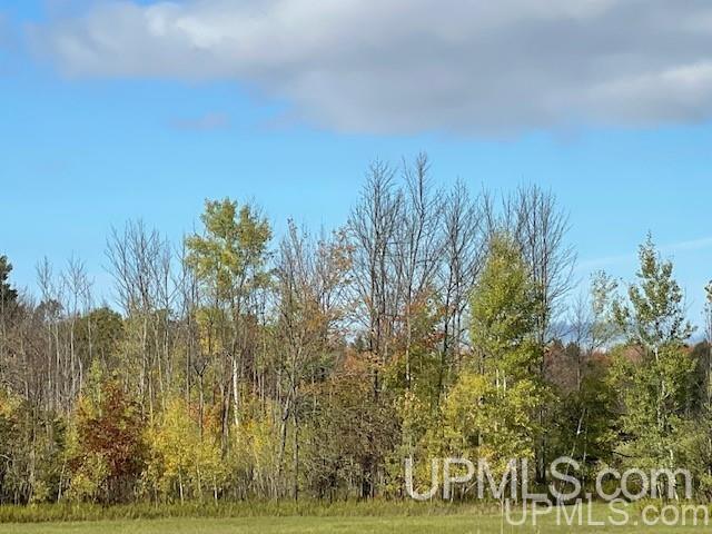 Tbd Lakehead Road Hurley, WI 54534 - Photo 3 of 7