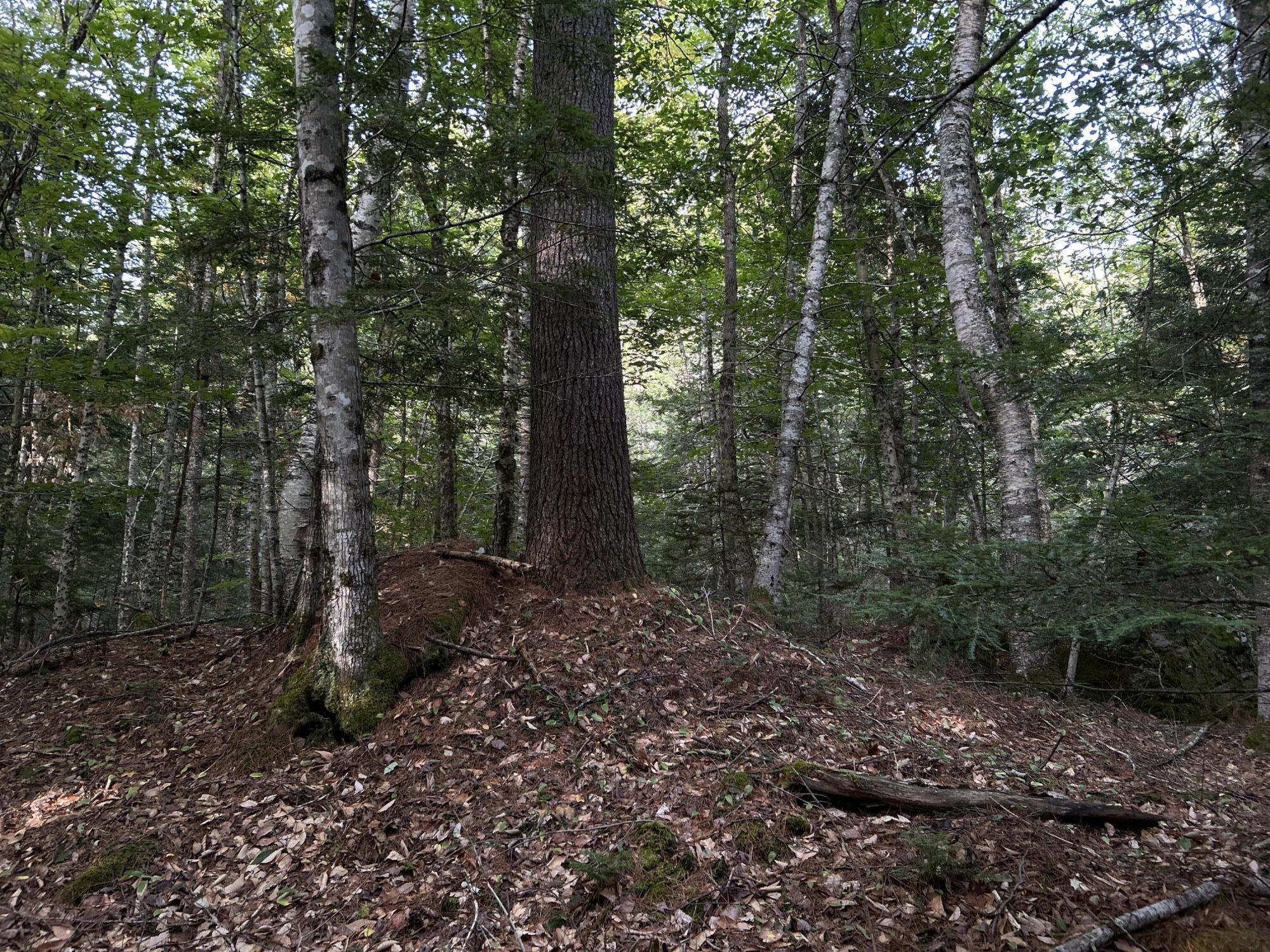 M4-l14 Village Road Jackson, ME 04921 - Photo 20 of 37