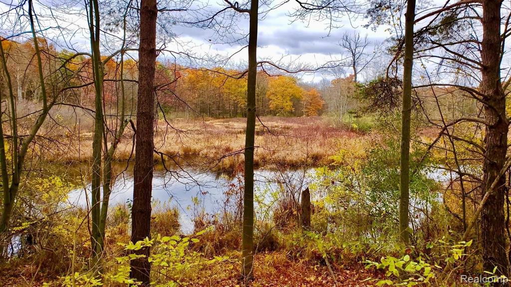 1 Wilder Road Lapeer, MI 48446 - Photo 5 of 20