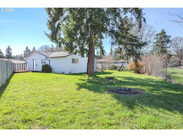 a view of a backyard with plants