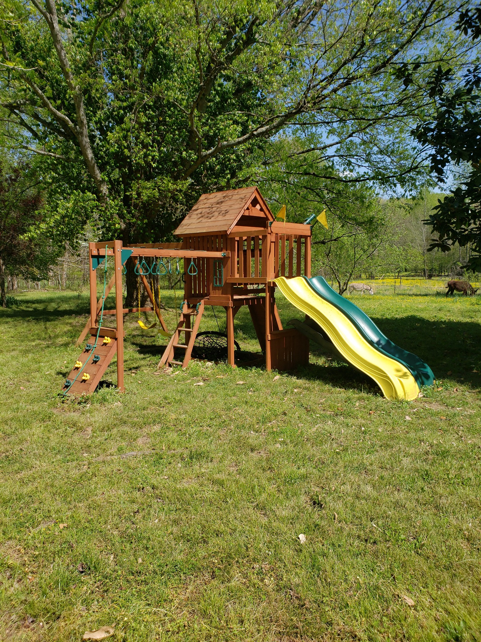 747 Wades Branch Road Centerville, TN 37033 - Photo 23 of 50 Gallery Image 23