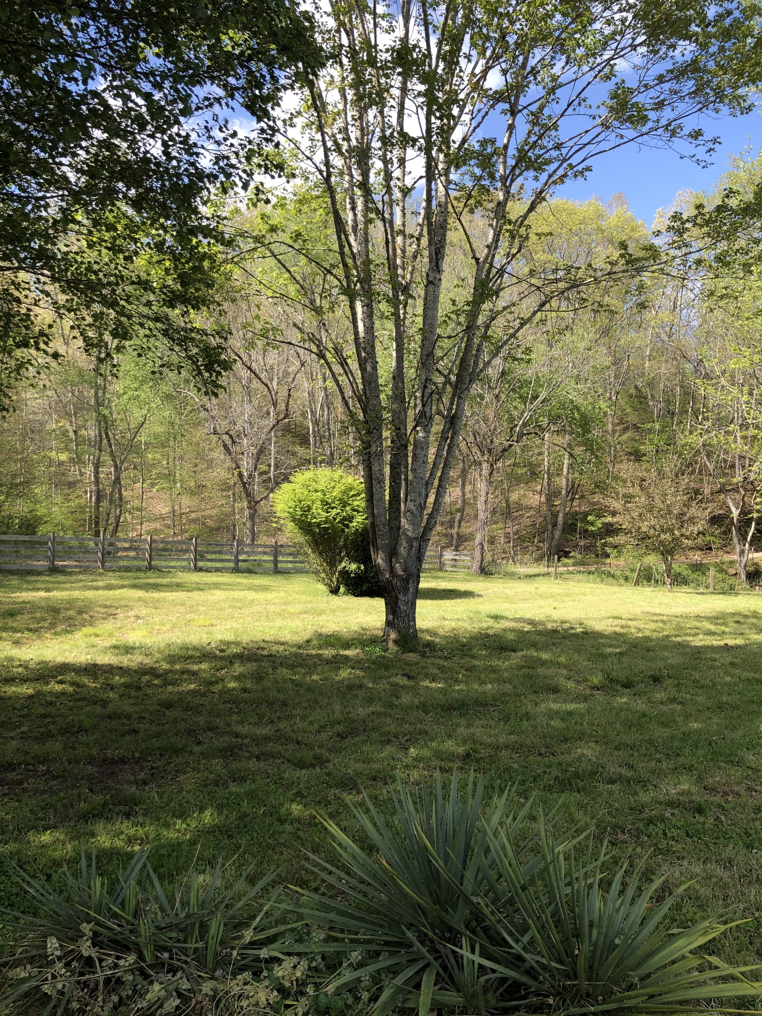 747 Wades Branch Road Centerville, TN 37033 - Photo 24 of 50 Gallery Image 24