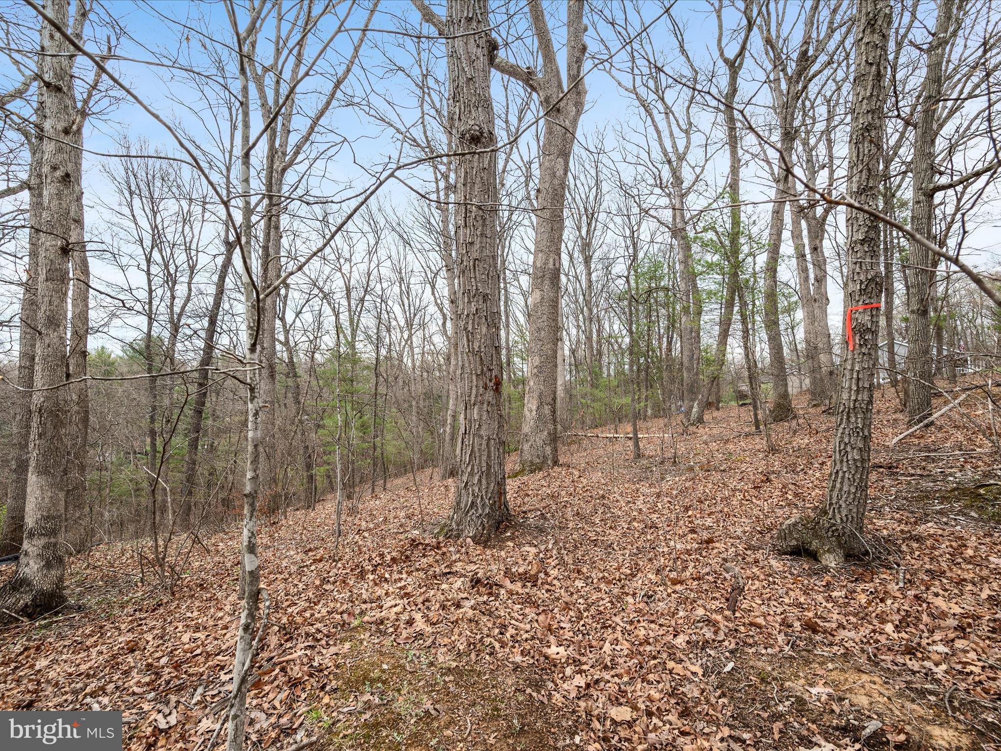 Lakeside Drive Front Royal, VA 22630 - Photo 3 of 9 Lot Landscape