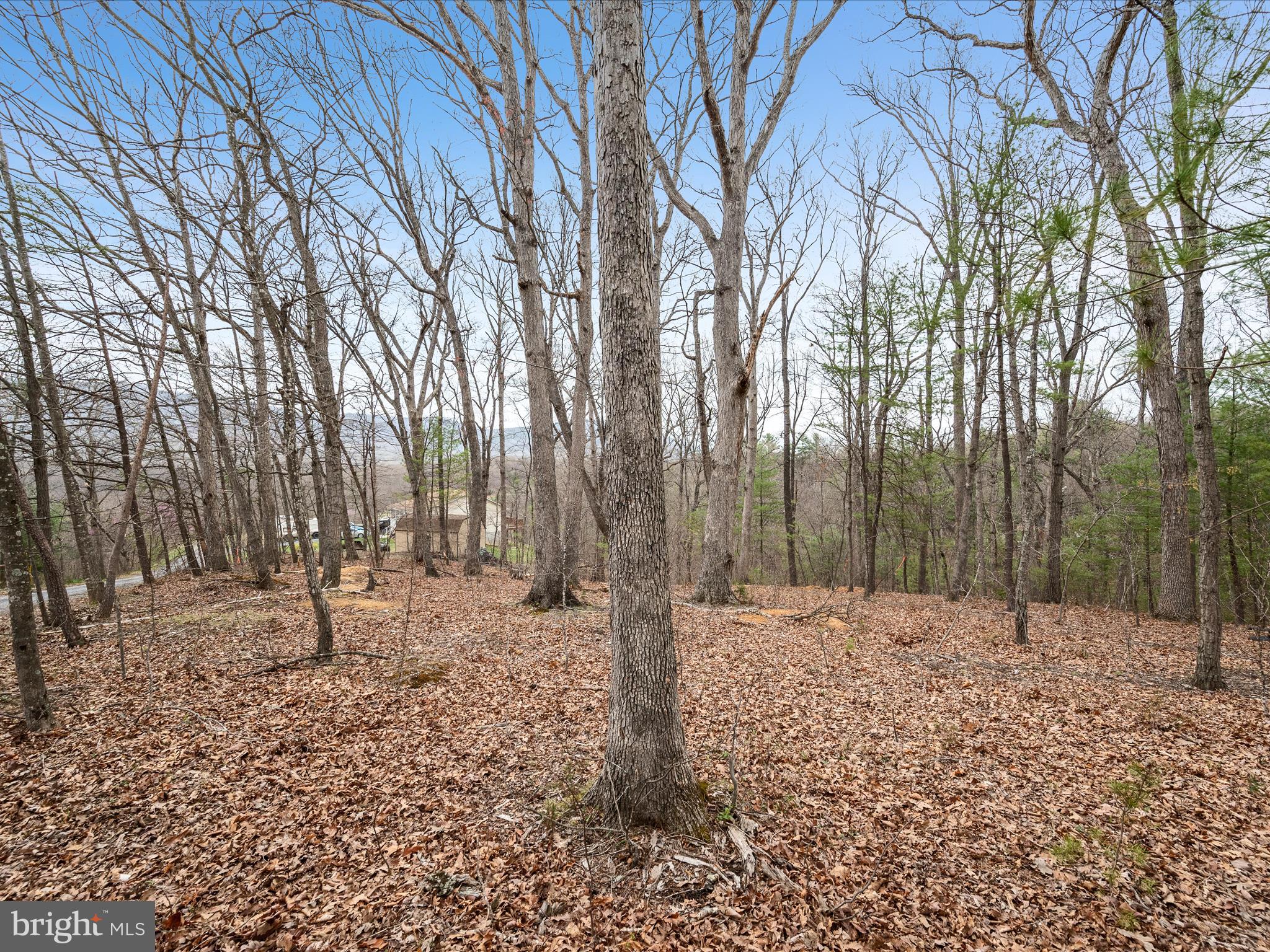 Lakeside Drive Front Royal, VA 22630 - Photo 5 of 9 Lot Landscape