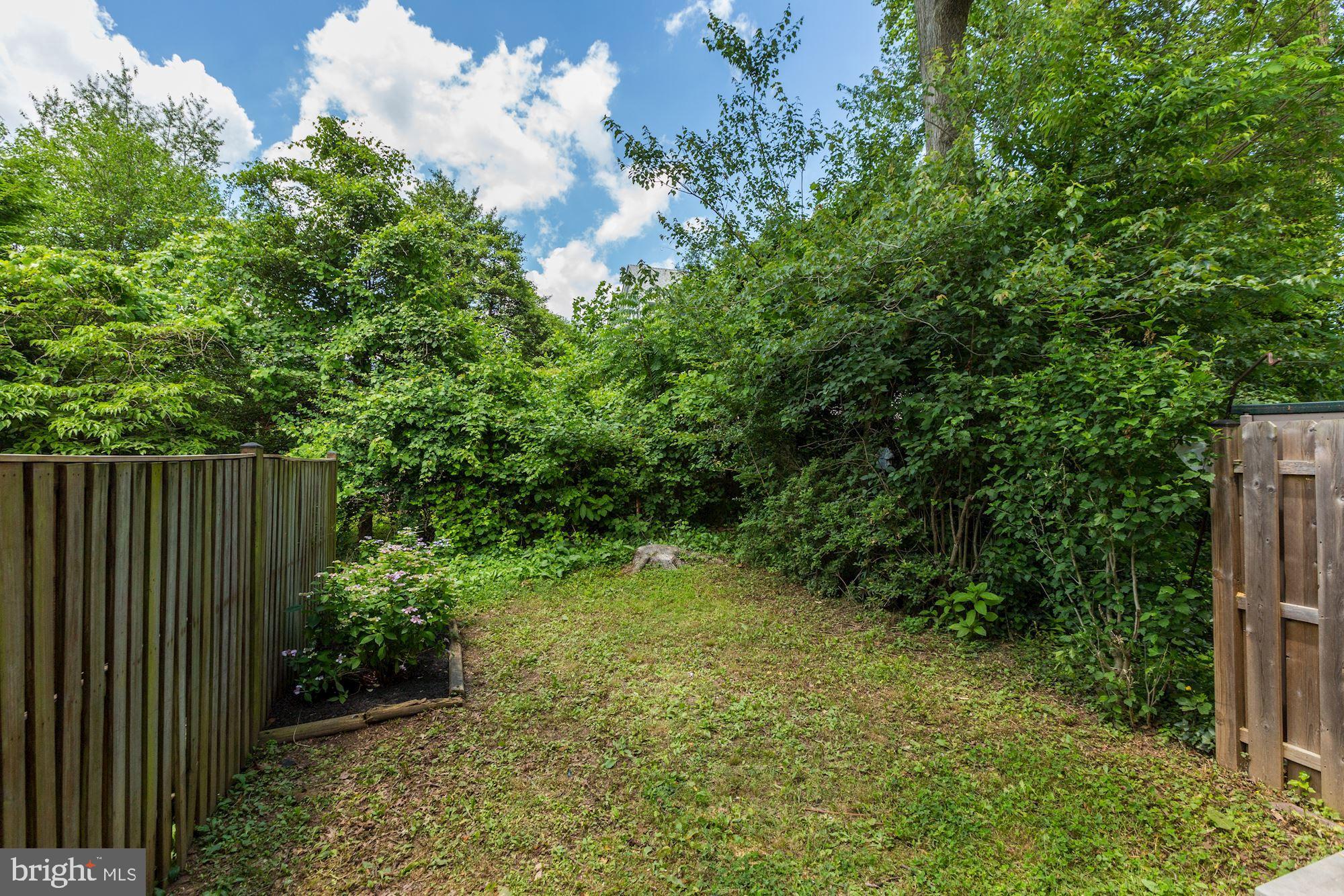 10716 Lester Street Silver Spring, MD 20902 - Photo 25 of 25 Private back yard backs to trees.