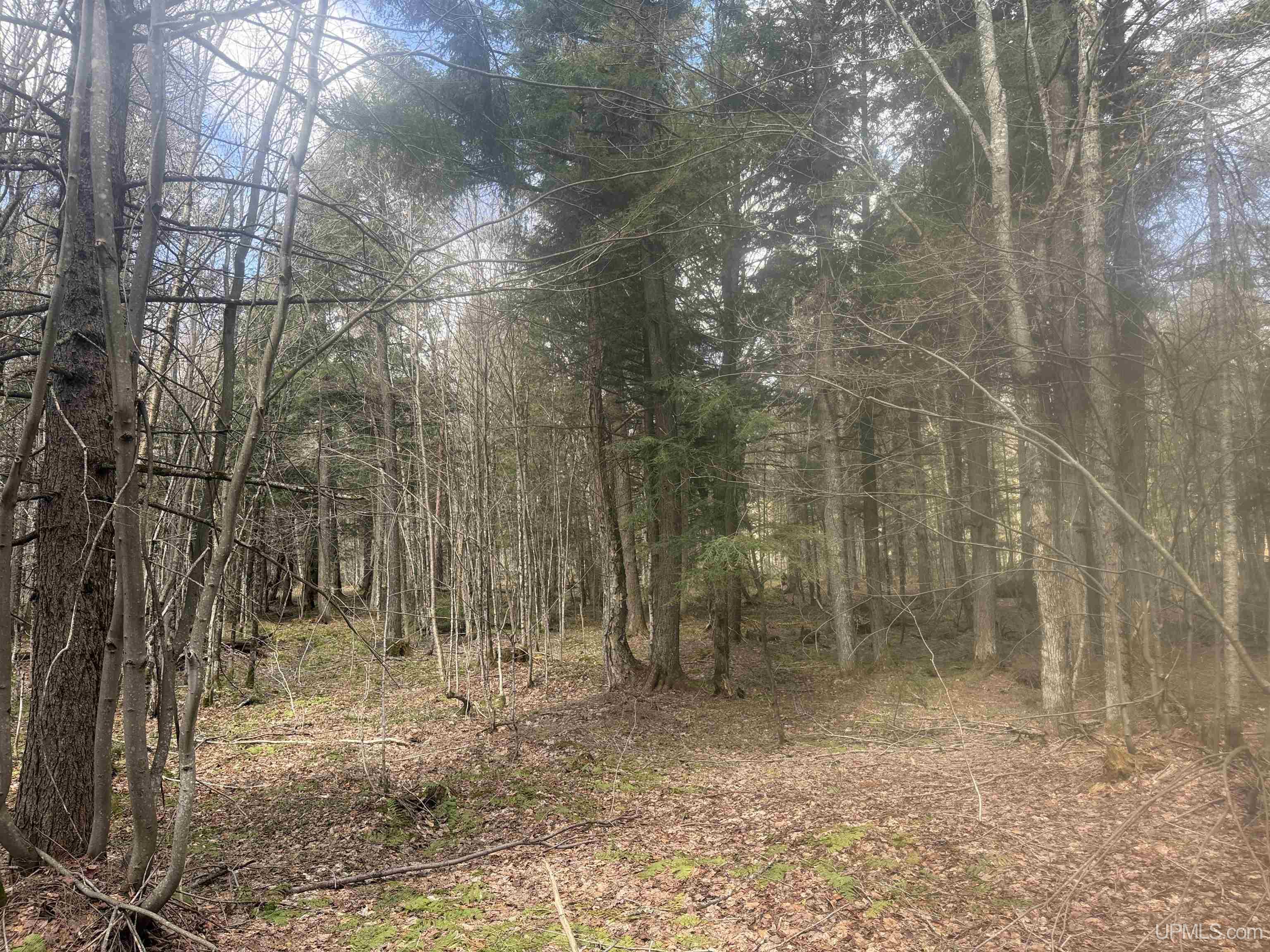 Off Black River Road Ironwood, MI 49938 - Photo 12 of 31
