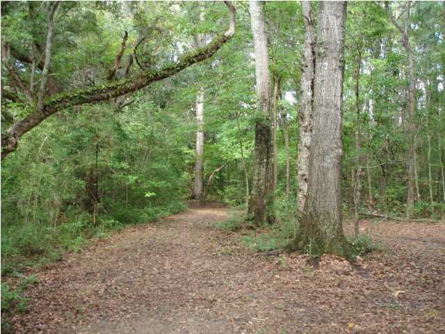 2 Toogoodoo Road Meggett, SC 29449 - Photo 13 of 24 Additional Photo