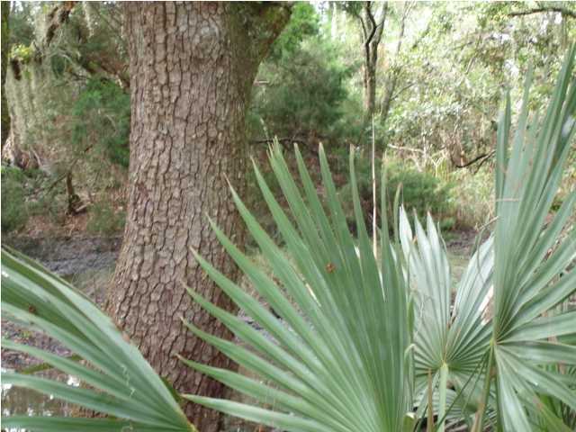 2 Toogoodoo Road Meggett, SC 29449 - Photo 14 of 24 Additional Photo