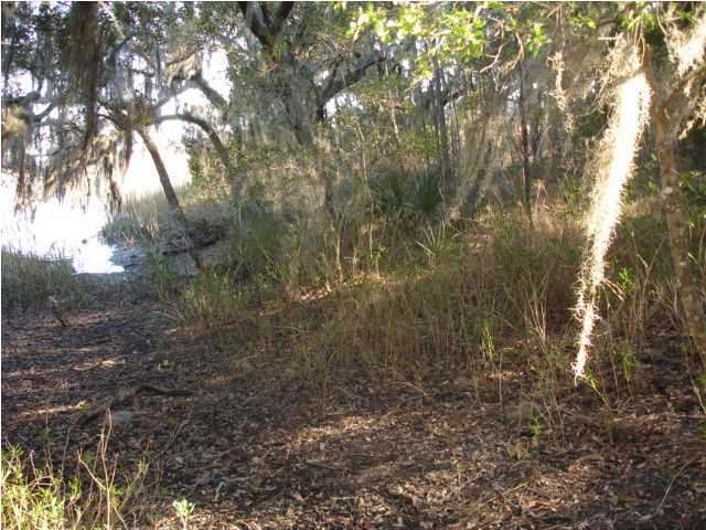 2 Toogoodoo Road Meggett, SC 29449 - Photo 3 of 24 Additional Photo