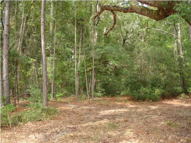 2 Toogoodoo Road Meggett, SC 29449 - Photo 21 of 24 Additional Photo