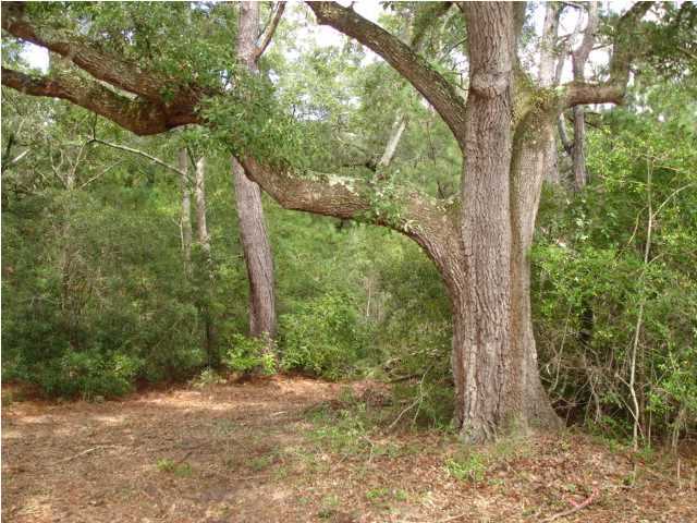 2 Toogoodoo Road Meggett, SC 29449 - Photo 22 of 24 Additional Photo