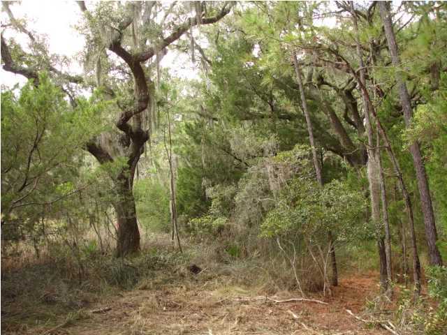 2 Toogoodoo Road Meggett, SC 29449 - Photo 23 of 24 Additional Photo