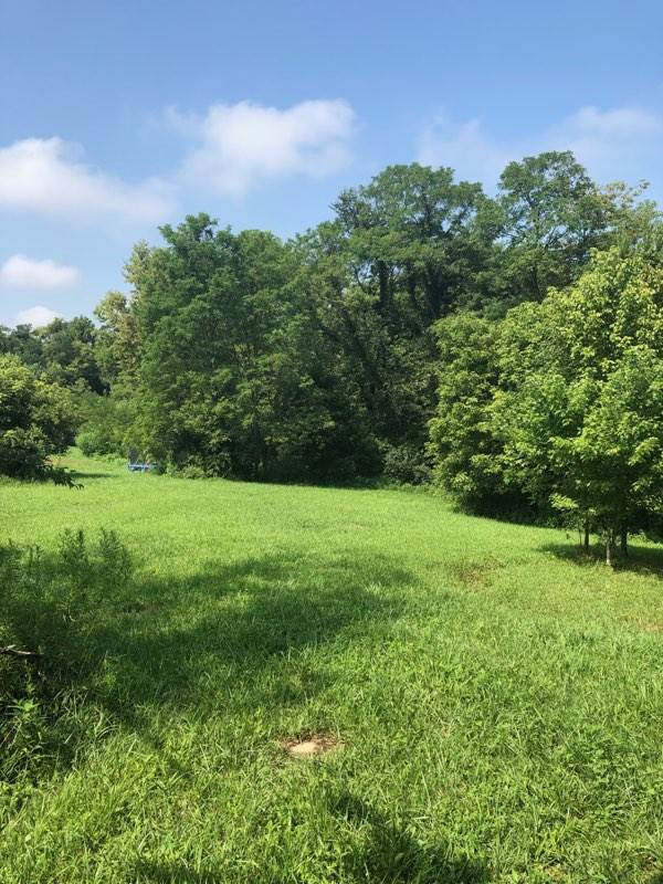 1430 Lemon Northcutt Road Dry Ridge, KY 41035 - Photo 2 of 10