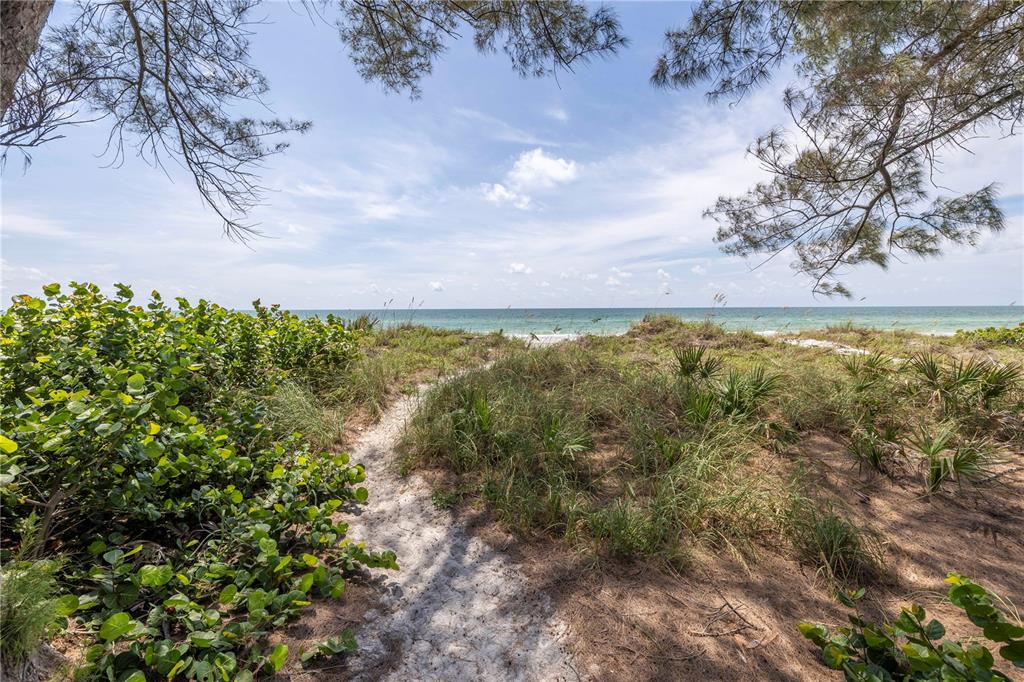 516 Gulf Boulevard Indian Rocks Beach, FL 33785 - Photo 15 of 97