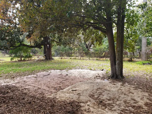 $1,395 | 2334 Rogero Road, Jacksonville, FL 32211