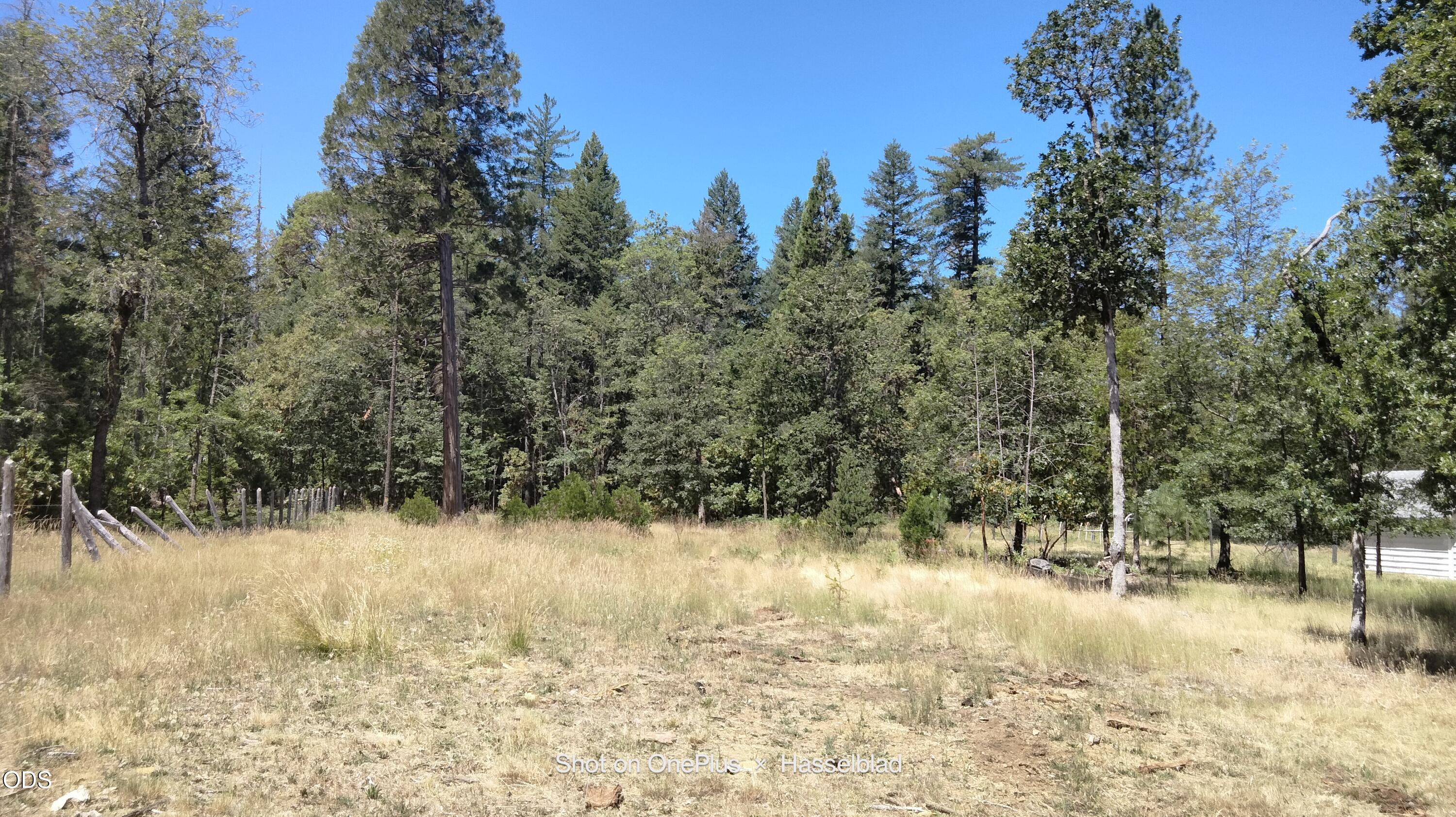 575 Kirkham Road Cave Junction, OR 97523 - Photo 18 of 50