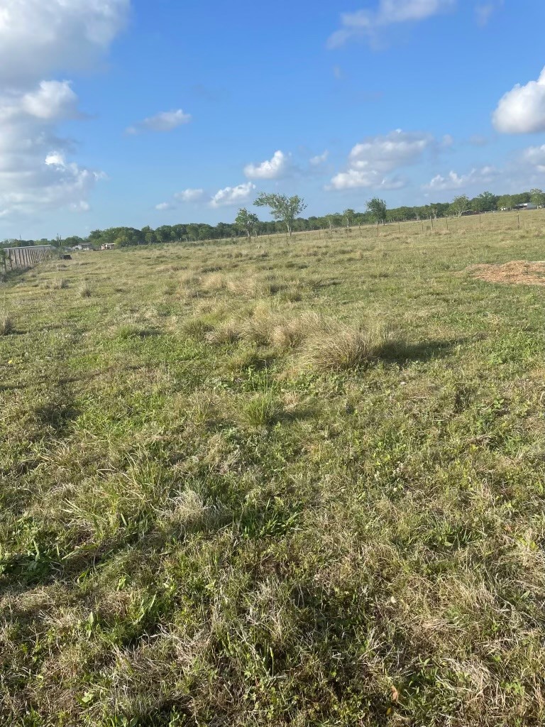 1010 County Road 595 Angleton, TX 77515 - Photo 2 of 4