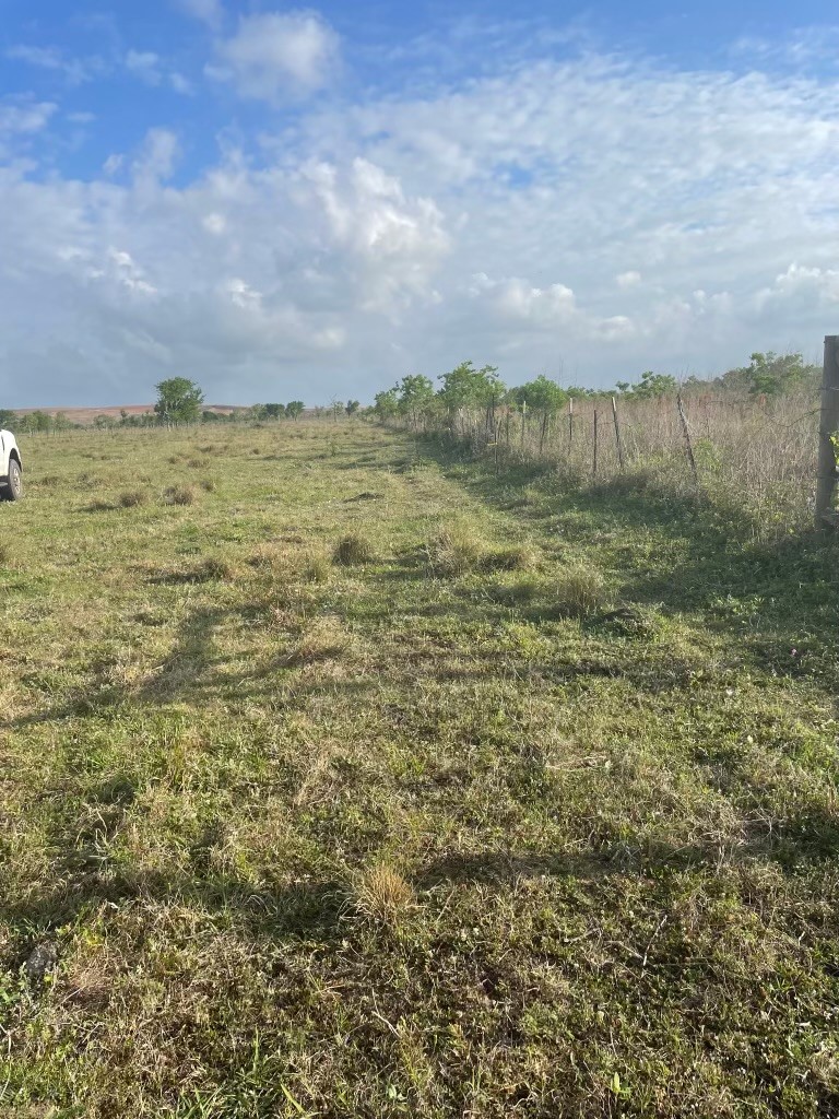 1010 County Road 595 Angleton, TX 77515 - Photo 3 of 4