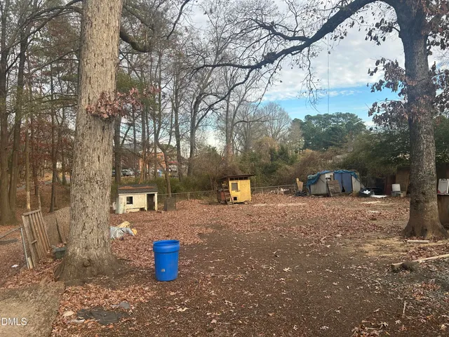a park view with large trees