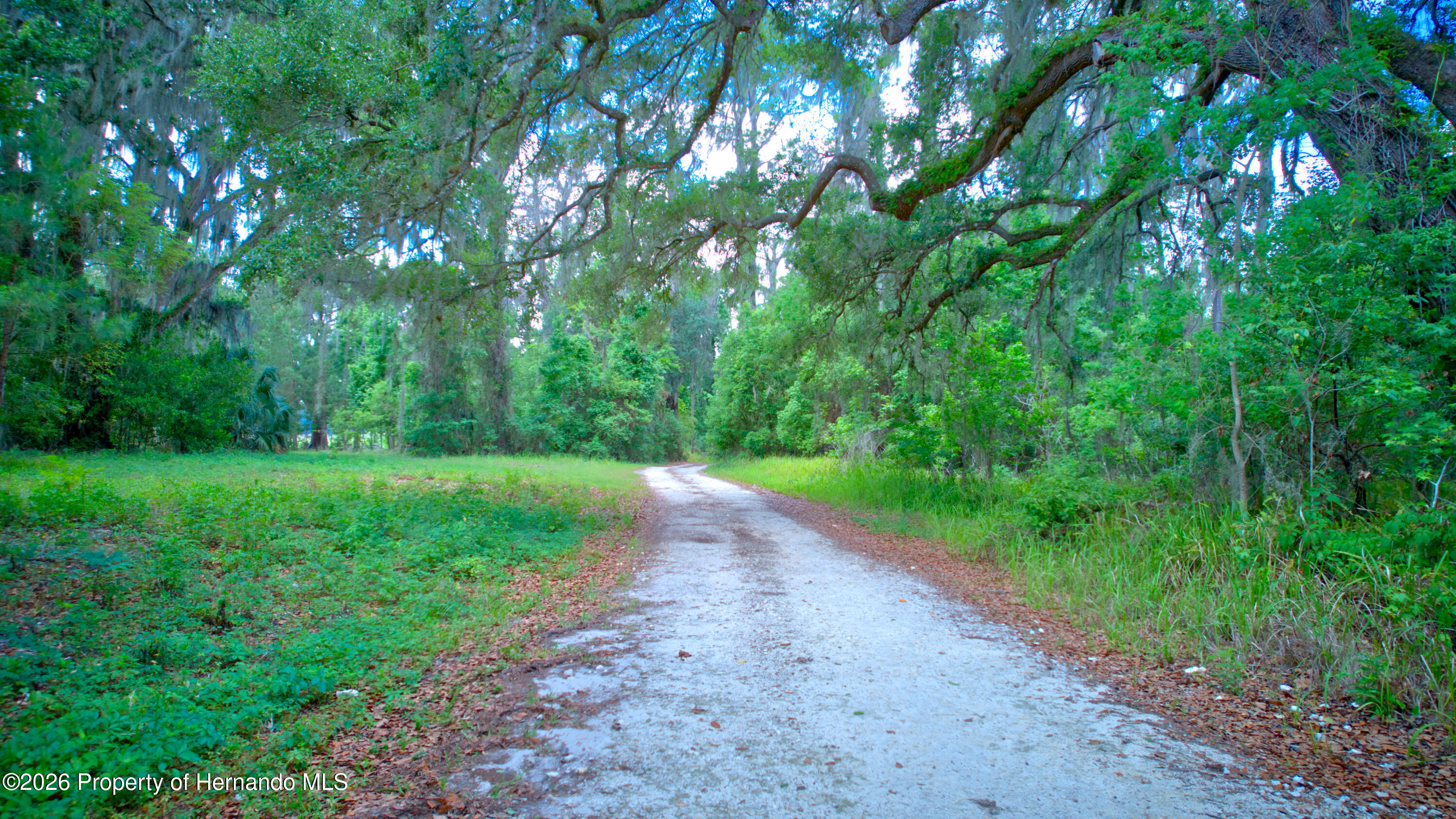3267 Neff Lk Road Brooksville, FL 34602 - Photo 51 of 82
