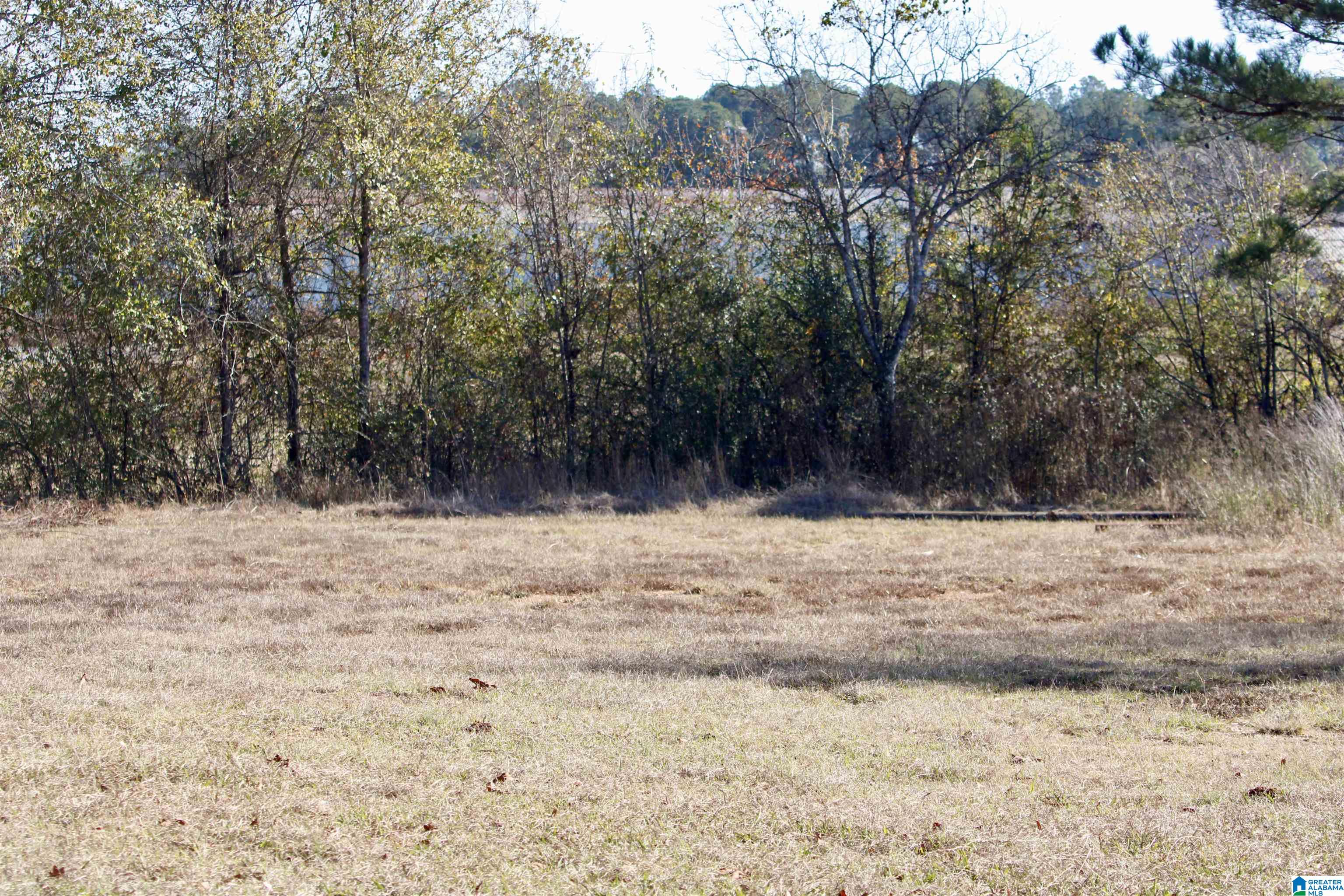 133 Thompson Drive Vincent, AL 35178 - Photo 9 of 23