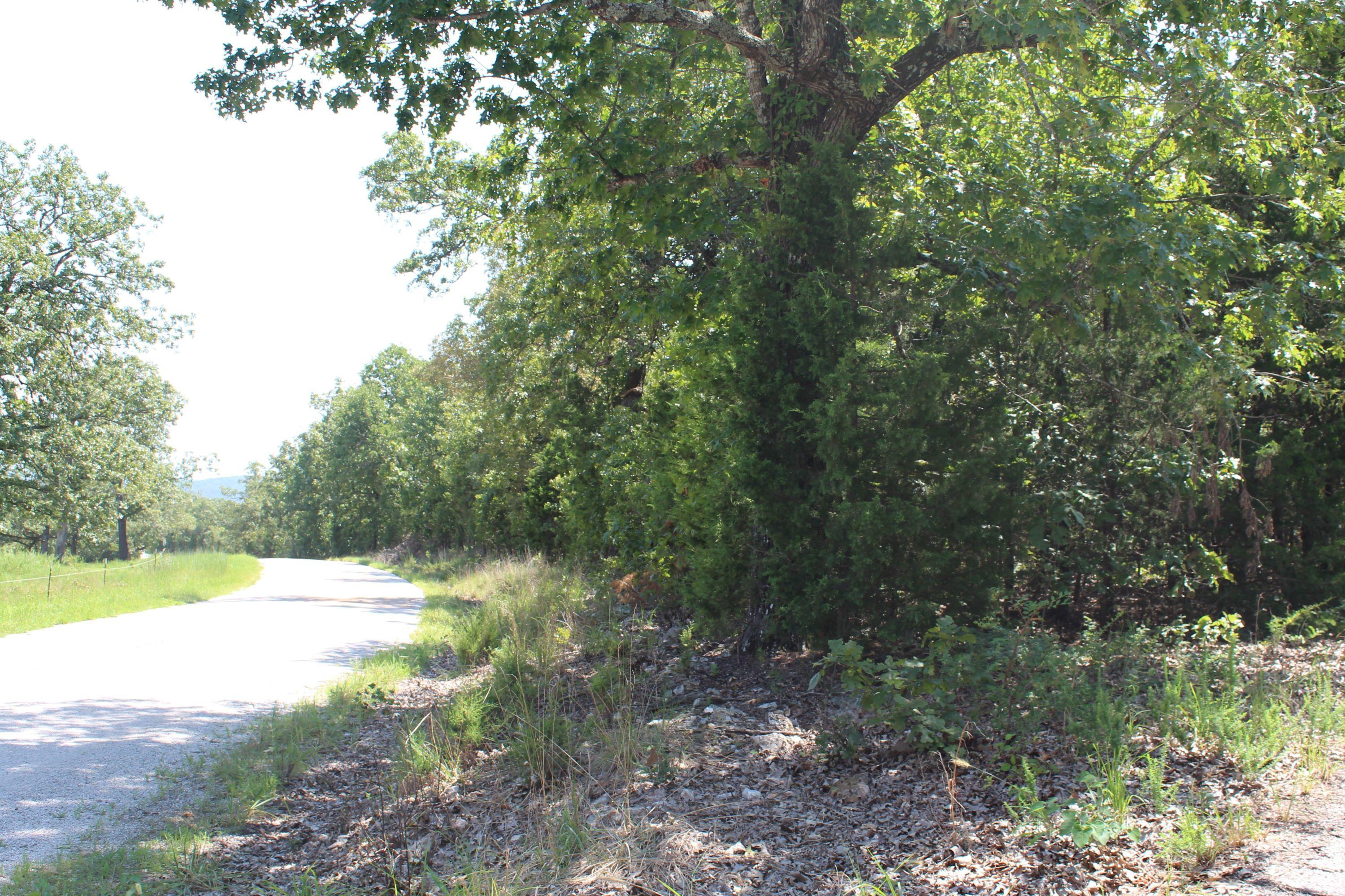 -tbd Tbd Clarkson & Matherly Road Protem, MO 65733 - Photo 1 of 1 Clarkson Road view of lot to right
