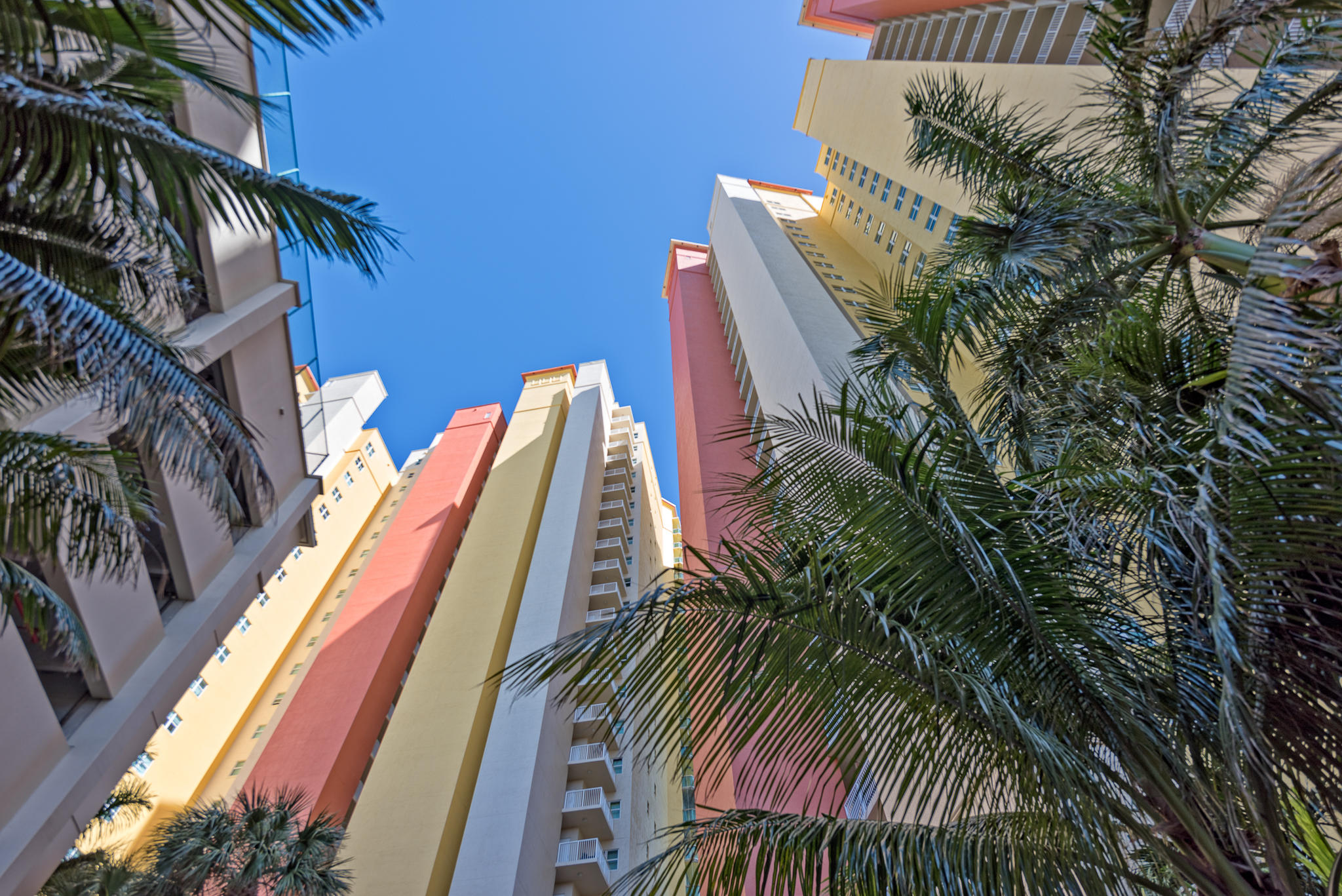 2640 Lake Shore Drive, Unit 1011 Riviera Beach, FL 33404 - Photo 32 of 60 a view of a yard with a palm tree