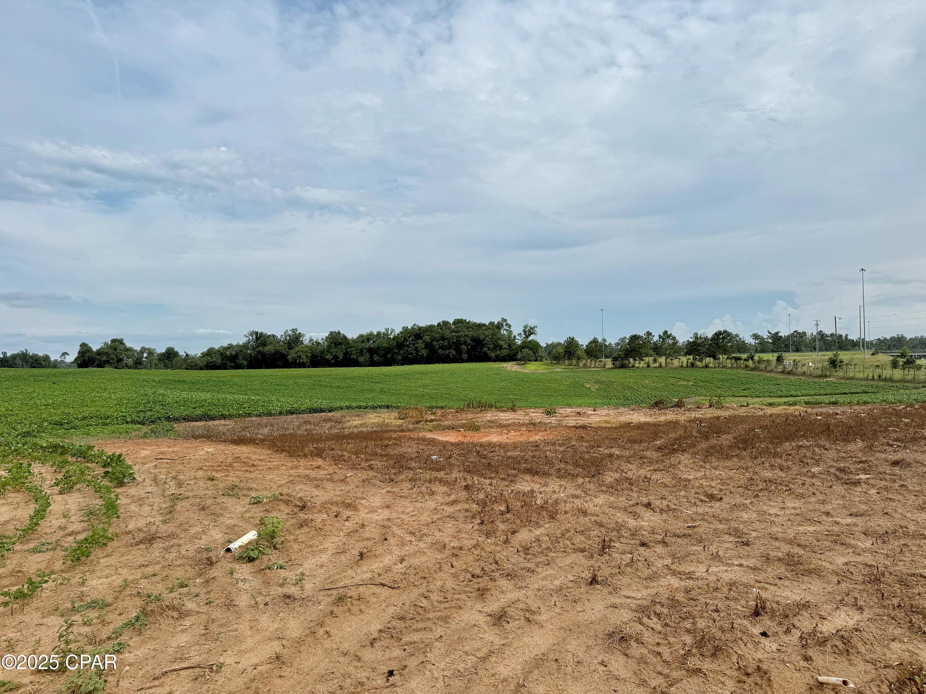 Undisclosed Address Grand Ridge, FL 32442 - Photo 12 of 16