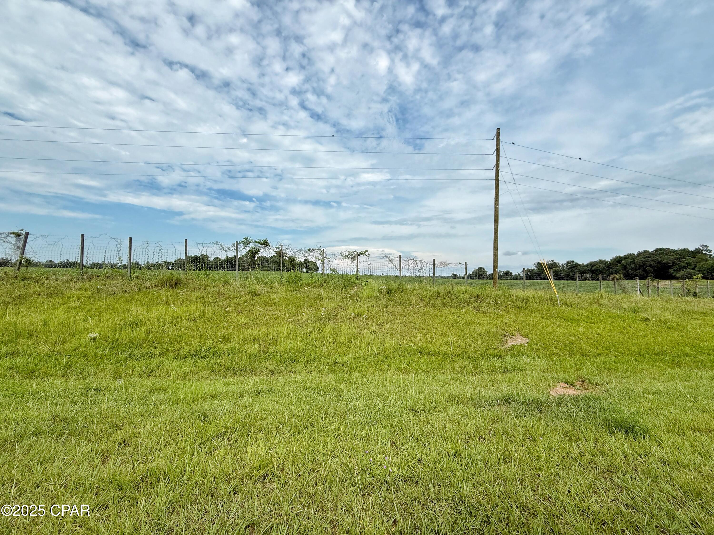 Undisclosed Address Grand Ridge, FL 32442 - Photo 3 of 16