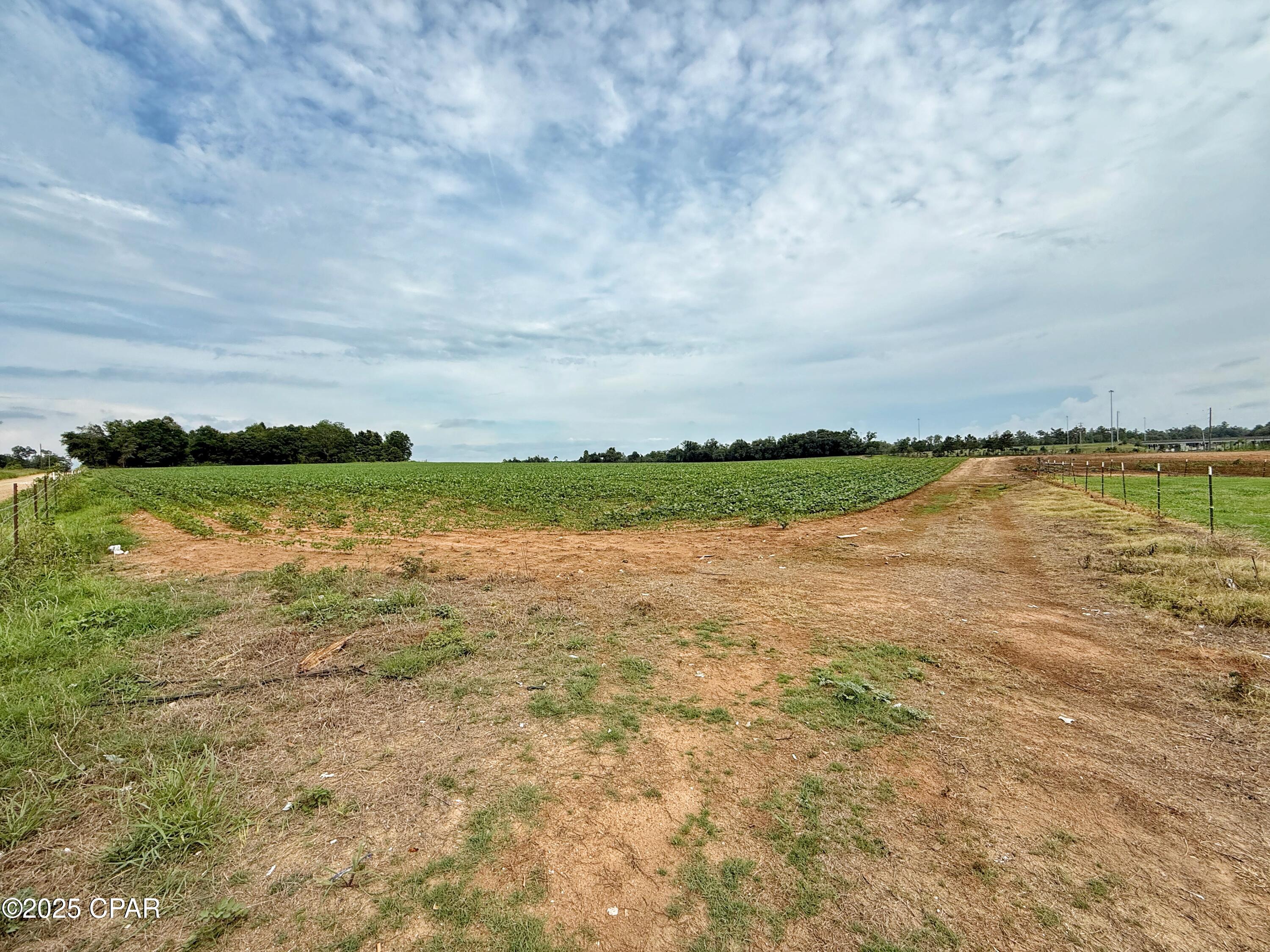 Undisclosed Address Grand Ridge, FL 32442 - Photo 9 of 16