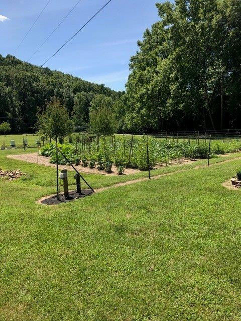 1675 Bluebank-Ramey School Road Morehead, KY 40351 - Photo 4 of 12 Photo 4