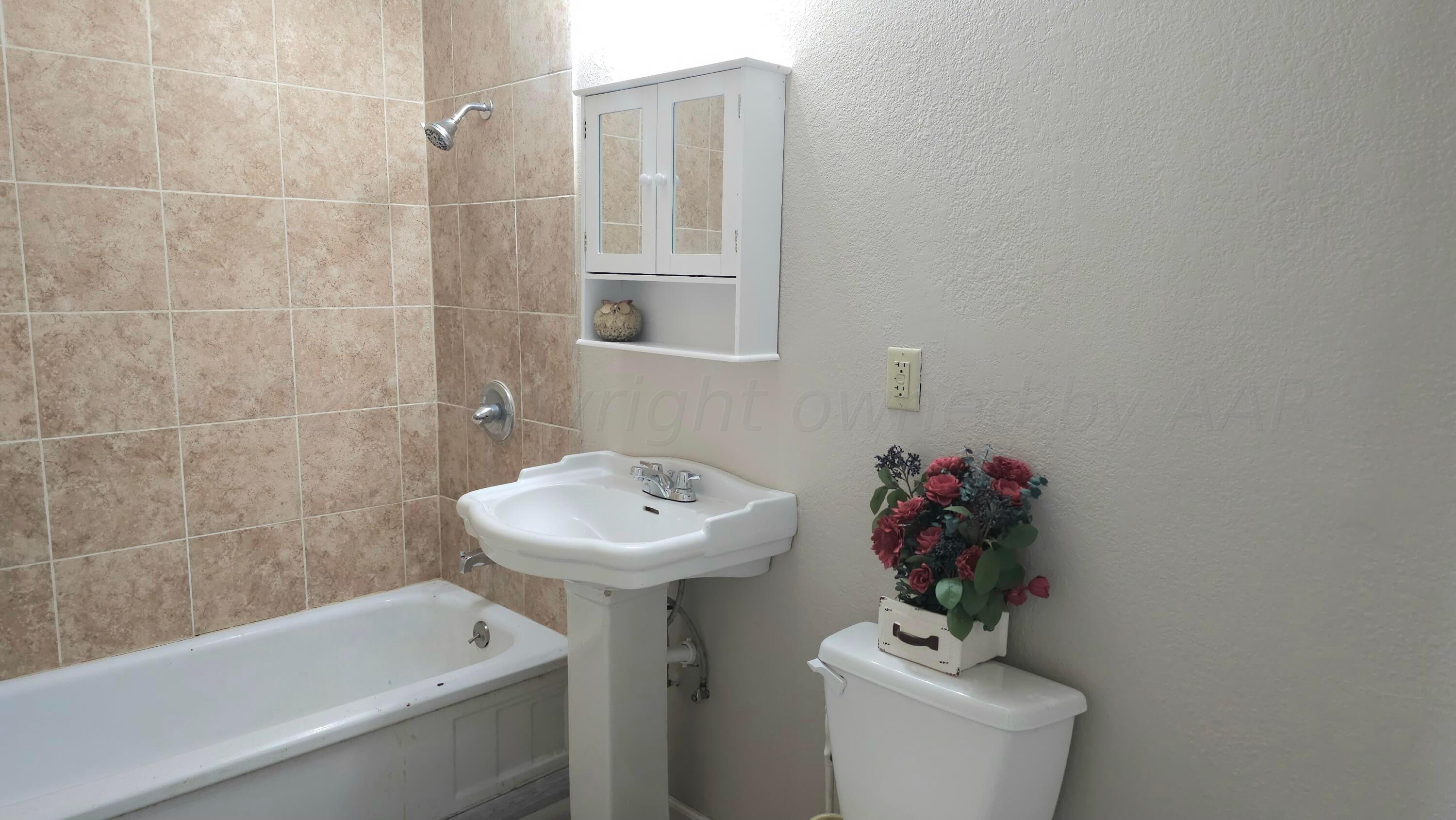 4438 Crockett Street Amarillo, TX 79110 - Photo 17 of 19 Hall Bath