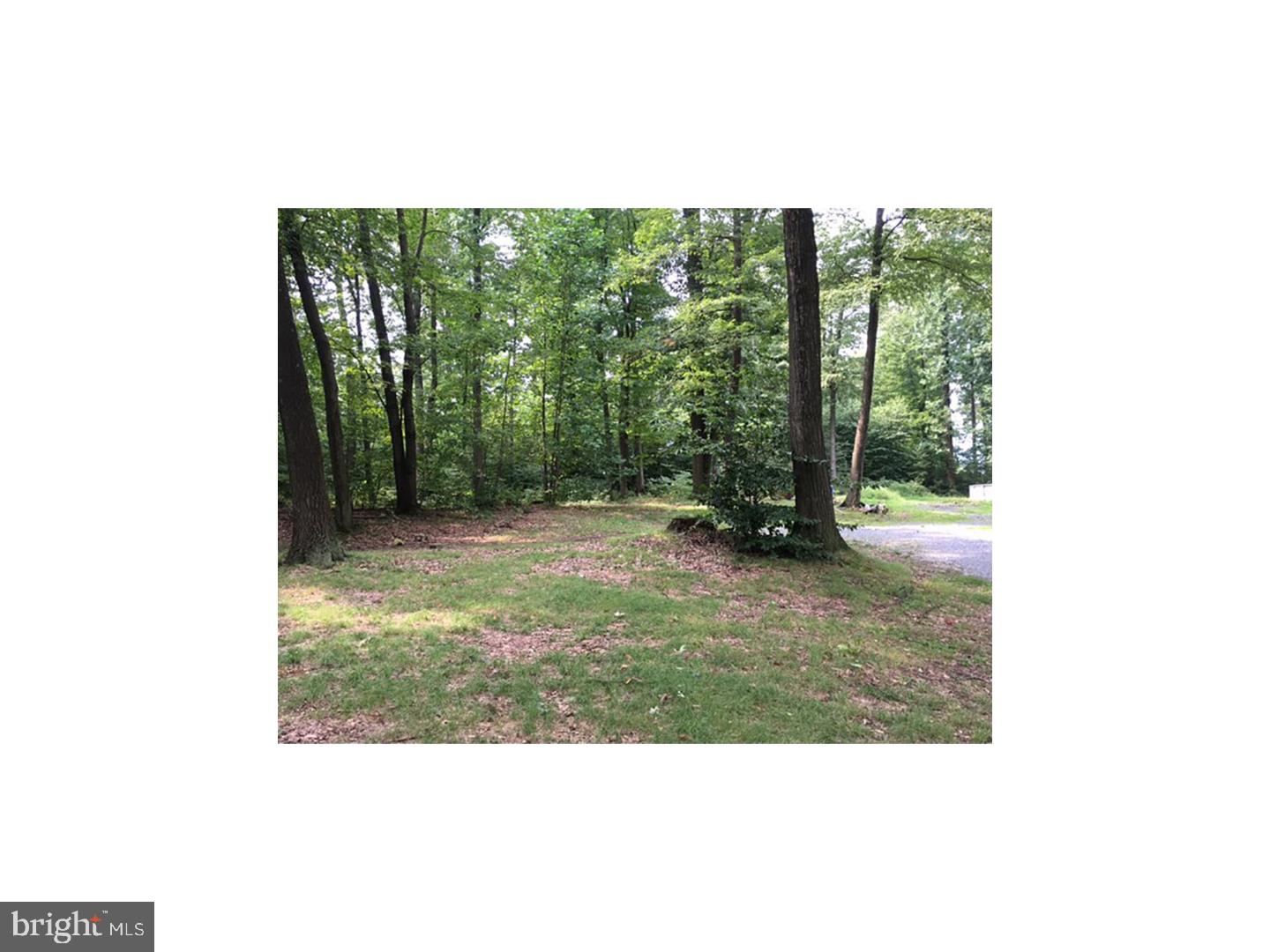 9 Campsite Road Bernville, PA 19506 - Photo 16 of 22 Gallery Image 16