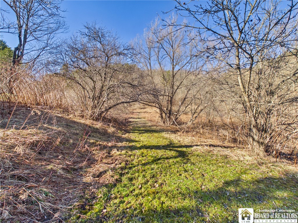 2730 McCann Hollow Road Olean, NY 14760 - Photo 33 of 49