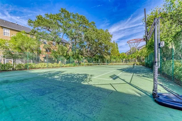 a view of a garden with an outdoor space