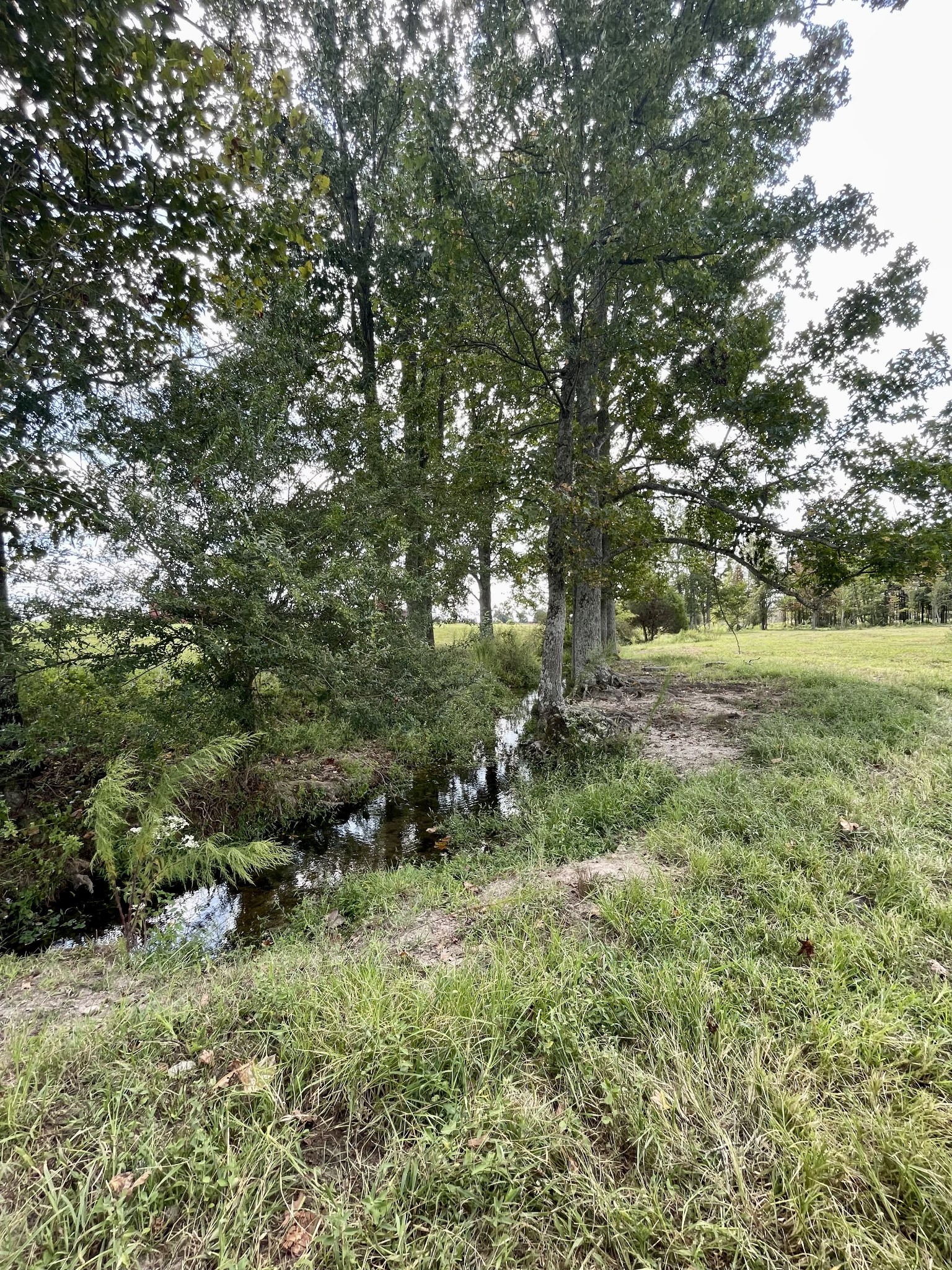 0 Tipton Road Fayetteville, TN 37334 - Photo 14 of 21 Gallery Image 14
