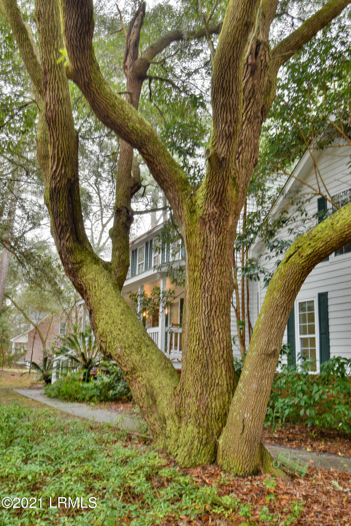 115 Walling Grove Road Beaufort, SC 29907 - Photo 41 of 41 DSC_0835-2