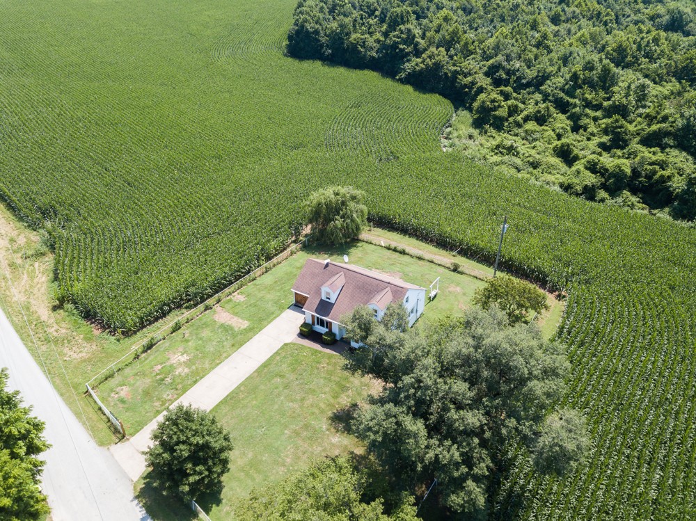 1685 Bumpus Mill Road Oak Grove, KY 42262 - Photo 46 of 49
