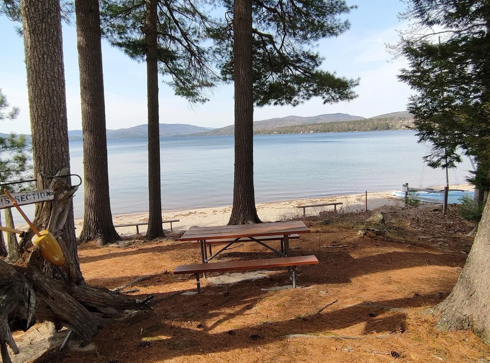 19 Arrowhead Point Road Bristol, NH 03222 - Photo 11 of 23