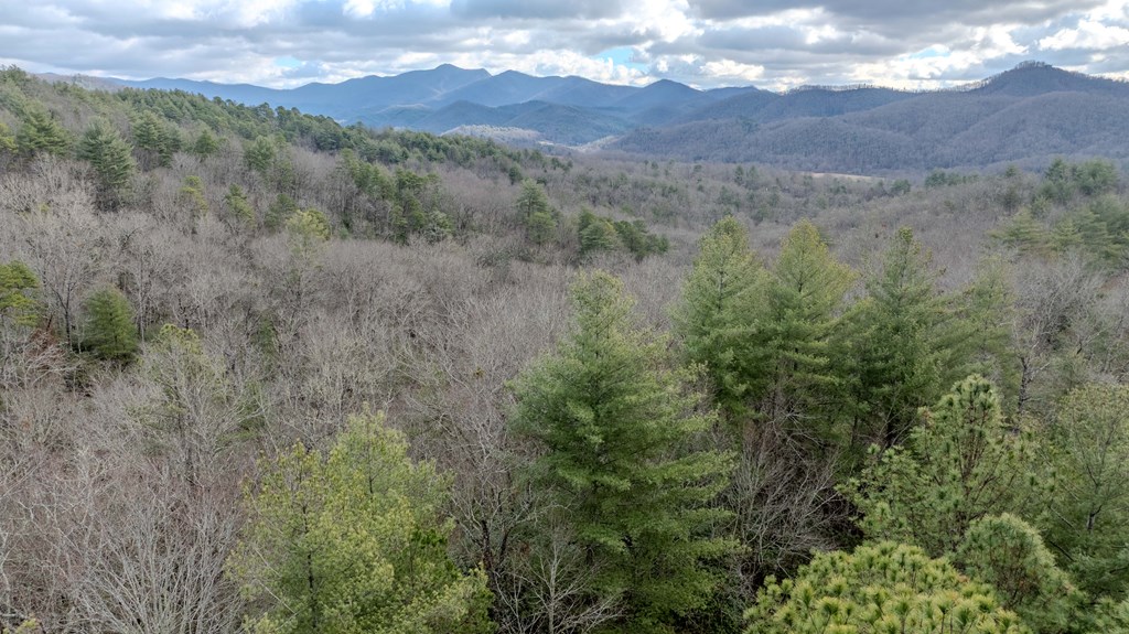 Lts29-30 Broadtree Ridge Hayesville, NC 28904 - Photo 4 of 9 a view of a lush green forest with mountains in the background