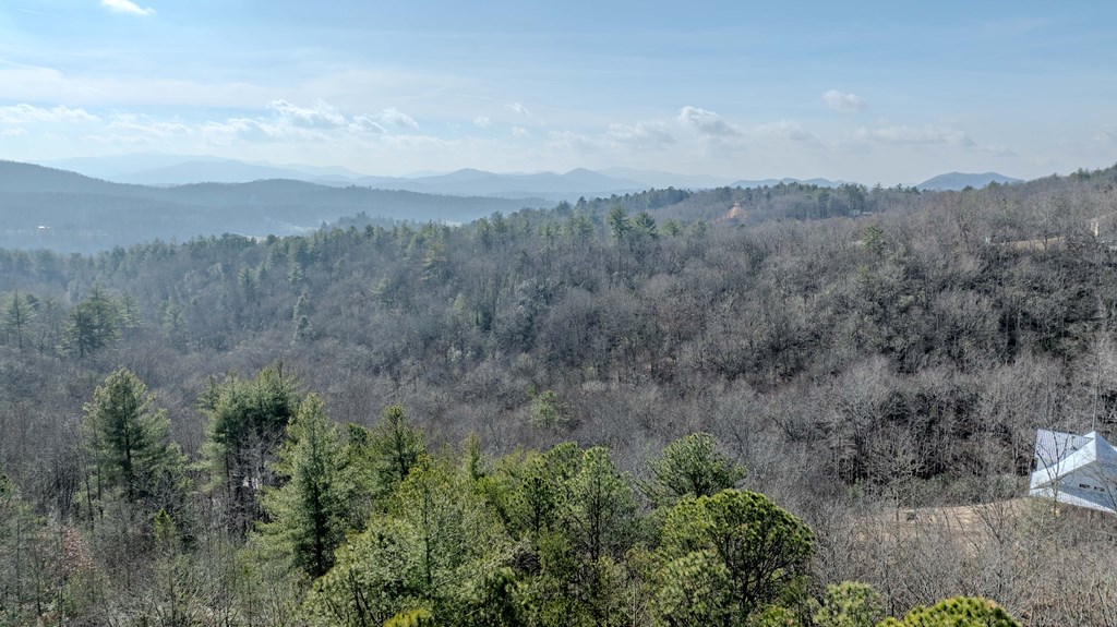 Lts29-30 Broadtree Ridge Hayesville, NC 28904 - Photo 5 of 9 a view of a yard in a field