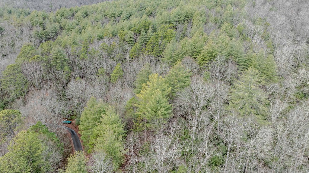 Lts29-30 Broadtree Ridge Hayesville, NC 28904 - Photo 9 of 9 a aerial view of a house with lots of trees